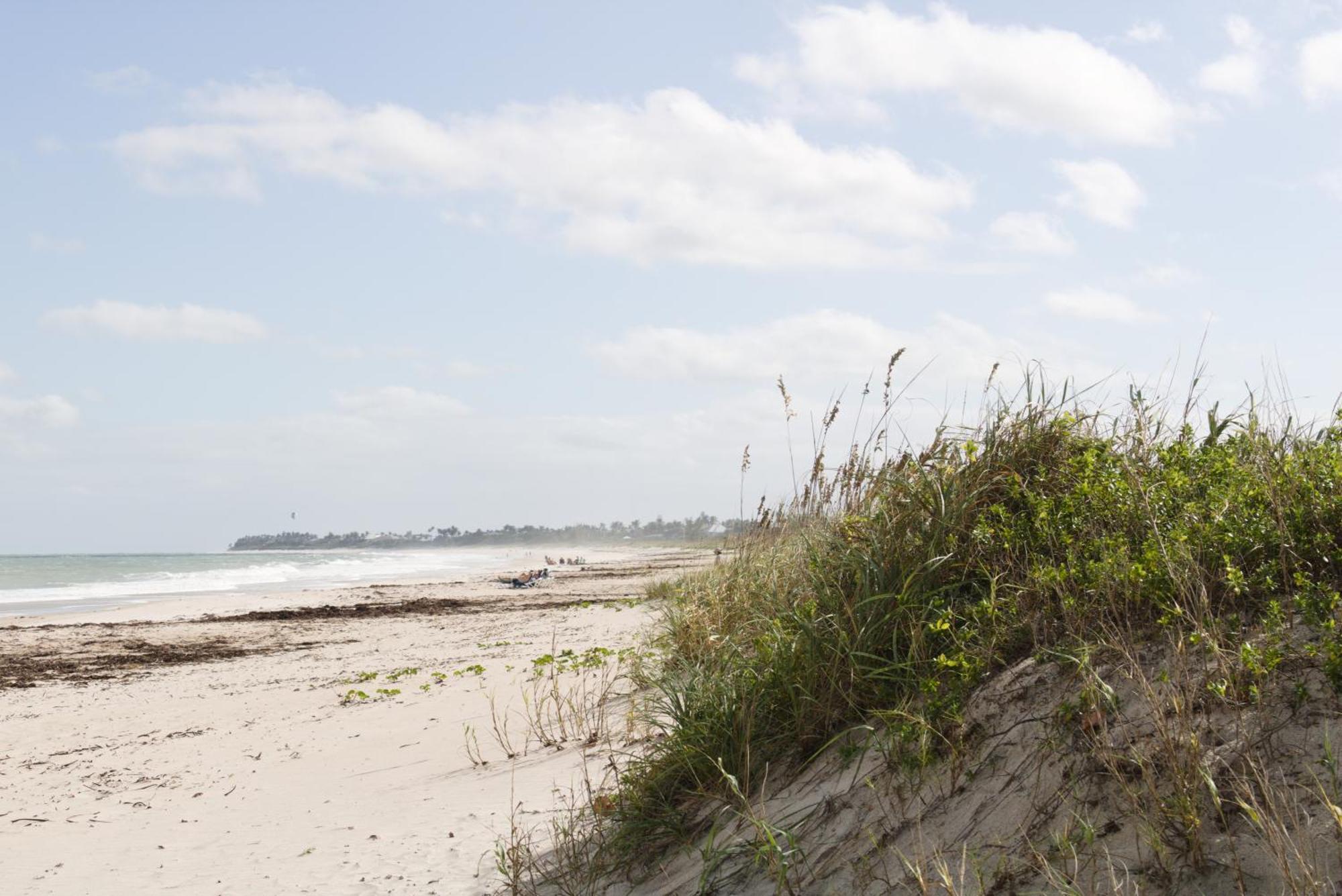 The Caribbean Court Boutique Hotel Vero Beach Luaran gambar
